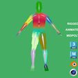 z9.jpg 3D Rigged Francesco Acerbi Inter Milan 2023