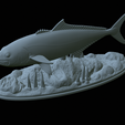 Greater-Amberjack-statue-1-48.png fish greater amberjack / Seriola dumerili statue underwater detailed texture for 3d printing
