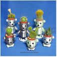 BEAR BRAVO Potted plants