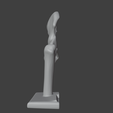 13.png 3D Hip Joint Anatomy Model