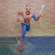 IMG_20220829_092000_983.jpg Spider-Man: Friend or Foe Complete Action Figure