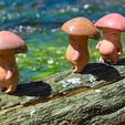 DSC_9627.jpg Animated Happy Mushroom