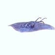0_00000U.jpg DOWNLOAD Manta Ray 3D MODEL - ANIMATED - FOR 3D PROJECT AND 3D PRINTING - BLENDER FILE - 3DS MAX FBX - MAYA - UNITY - C4D - UNREAL - sea - monster - fantasy - fish