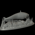sumec-2-6.png catfish / Siluriformes / sumec velký underwater statue detailed texture for 3d printing