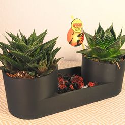 1.jpg Planter 01 - Plant pot planter flower pot succulent