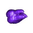 2 With Root V2.stl STL file Second Maxillary Molar Educational Sculpt・3D printable model to download