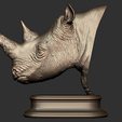 13.png Rhinoceros