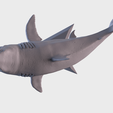 07.png White Shark Statue