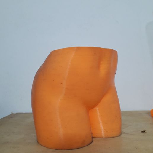 20231229_223558.jpg Sexy Ass Pot