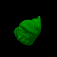 11.png 3D Heart Model - generated from real patient