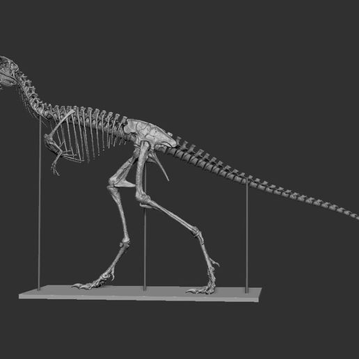 Skeleton.jpg Fichier OBJ Life size baby T-rex skeleton - Part 08/10・Design à télécharger et à imprimer en 3D, Inhuman_species