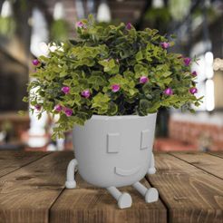 WhatsApp Image 2020-08-16 at 04.46.04.jpeg flowerpot with feet and face
