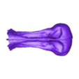 edm Part1.stl Edmontosaurus skull - Dinosaur