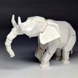 e002.jpg Blank Elephant