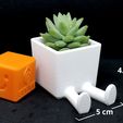 Macetro2.jpg Succulent Planter / 3D printed planter / Legged Planter