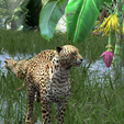 0_00040.png DOWNLOAD Cheetah 3d model - animated for blender-fbx-unity-maya-unreal-c4d-3ds max - 3D printing Cheetah - LEOPARD - RAPTOR - PREDATOR - CAT - FELINE