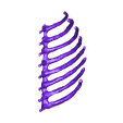 Ribs_Right.stl STL file Pteranodon skeleton・3D printer model to download