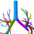 11.png Tracheobronchial Tree Segmented in 101 Parts