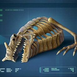 Capture.jpg Subnautica Sea Dragon Skeleton
