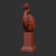 31.jpg Grey Heron bust