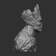 lateral.jpg Groot
