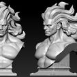 B01.jpg BerSerKer Portait Bust