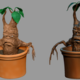 01.png Mandrake pant from Harry Potter