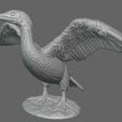 Screenshot-2024-01-04-111304.png cormorant bird