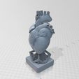 3464.jpg Eternal Beat: Hyper-Realistic Anatomical Human Heart