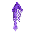 Body.stl STL file Unknown Creatures - Cerberus Skeleton・3D printer model to download