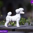 L-3.jpg Realistic Poodle dog articulated flexi toy named Luna  (STL & 3MF)