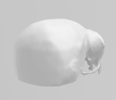 Screenshot-2024-10-26-095952.png Primal Beast Fangs Skull