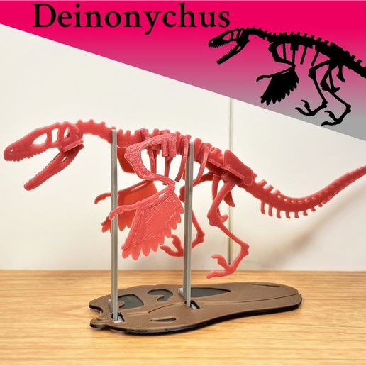 [3Dino Puzzle] Deinonychus