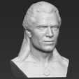 10.jpg Geralt of Rivia The Witcher Cavill bust 3D printing ready