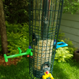 Perch2.png Squirrel Buster bird feeders upgrades