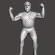 Screenshot-1127.png WWE WWF LJN Style Andre the Giant Custom Figure 2
