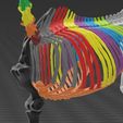 orden_.JPG Horse skeleton - Torso and pelvis - torso and pelvis
