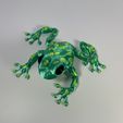 Photo-Aug-02-2023,-9-29-46-AM.jpg Articulated Poison Dart Frog