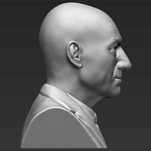 professor-x-charles-xavier-bust-ready-for-full-color-3d-printing-3d-model-obj-mtl-fbx-stl-wrl-wrz-2.jpg Professor X Charles Xavier from X-Men bust full color 3D printing