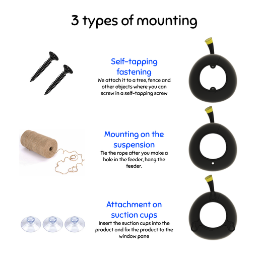 Frame-16.png "Bomb" Angry Birds Feeder