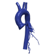 5.png 主动脉和冠状动脉 3D 模型 - 6 件装