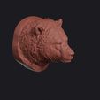 cave_bear_0003.jpg Cave Bear Head Bust Wall Mount