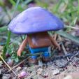 DSC_9557.jpg Animated Explorer Mushroom