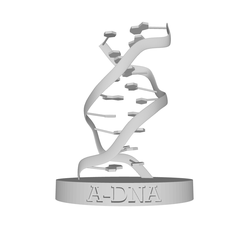 A-DNA.png DNA-A