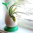 1.jpg Sprout - Self-Watering Desktop Planter for small plants and succulents