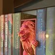 IMG_5403.jpeg Lion Emerging- Gryffindor Inspired Book Nook