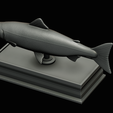 Salmon-statue-box-1-38.png fish sculpture of a Atlantic salmon / salmo salar with storage space / for 3d printing