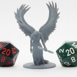 P4280029.JPG Fichier STL gratuit Aarakocra - Miniature de table・Design imprimable en 3D à télécharger