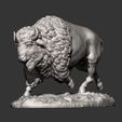 bison8.jpg Bison 3D print model