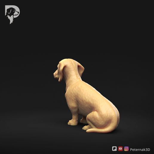 Dachshund-Miniature-Smooth-Haired-Pose-04-Dog-3D-Print-6s.jpeg Dachshund Miniature Smooth Haired Pose 04